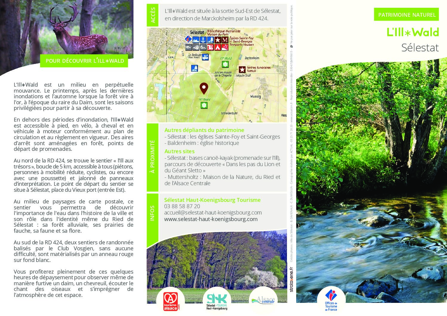 WEB – SELESTAT ILLWALD